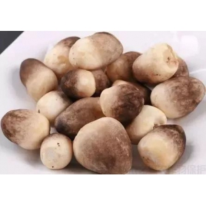 夏季草菇种植注意要点